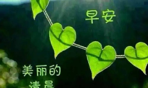 烤香蕉带不带皮-香蕉带皮烤熟吃的功效-香蕉带皮能用烤箱烤吗,中国香蕉带皮烤着吃的功效网站